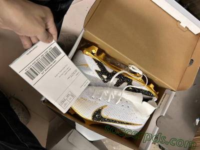 Shipped Order