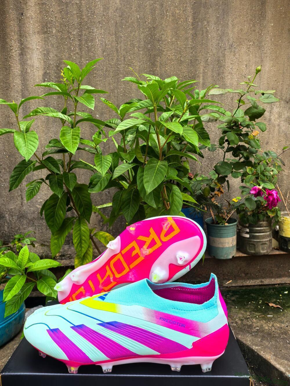 Adidas Predator Elite 24 Laceless FG Low-Tops Football Boots - Jade/Blue/Pink