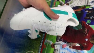 Nike The Premier 3 FG Low-Tops Football Boots - White/Blue