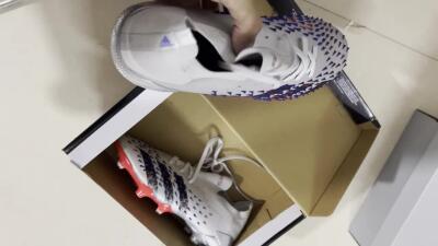 Adidas Predator Freak.1 FG Low-Tops Football Boots - Silver/Blue/Red/Black